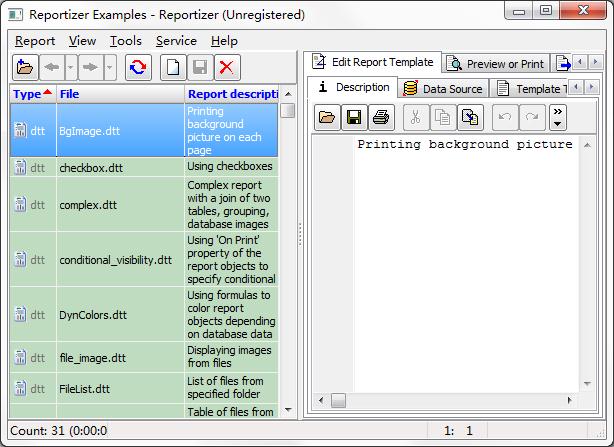 Reportizer报告单编辑器多国语言安装版 V6.3.4.39