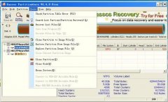 PartitionGuru官方安装版(硬盘恢复工具) V4.9.5.508