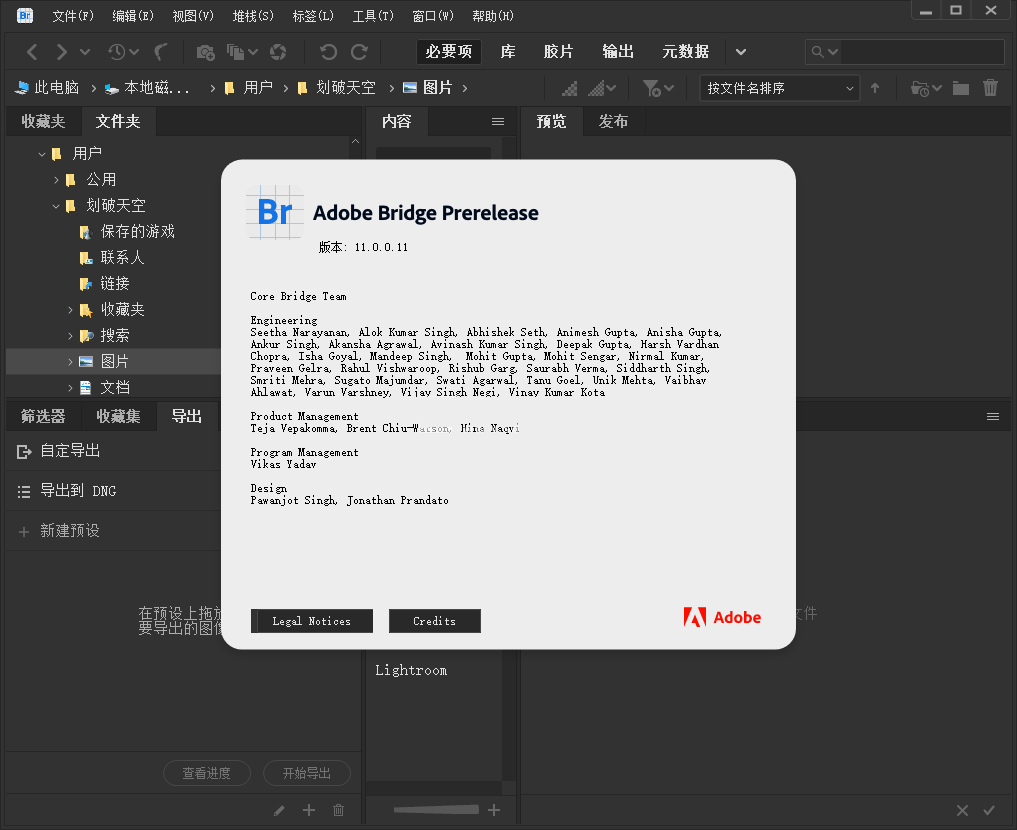 Adobe Bridge 2021中文破解版 V11.1