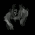 鬼魂探测器安卓版 V1.2