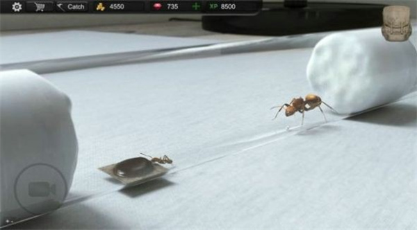 蚂蚁模拟大亨汉化版 