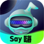 Say嗨元宇宙正版 V1.0.2