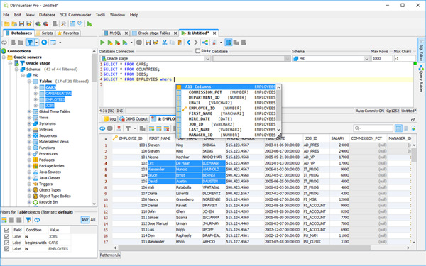 DbVisualizer Pro破解版(数据库管理工具) V13.5