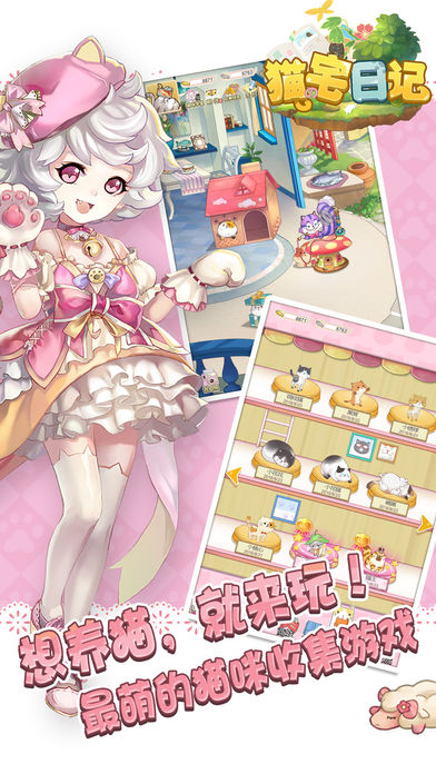 猫宅日记