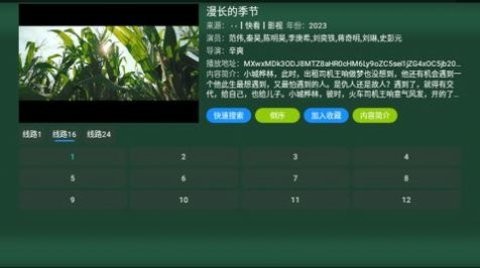 TV火炬仓