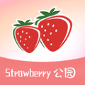 草莓公园精简版 V1.0.0