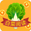 白菜阅读官方版 V1.3