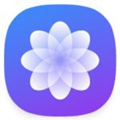墨鱼主题商店免费版 V2.1.74