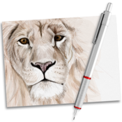 Sketches Pro mac版下载