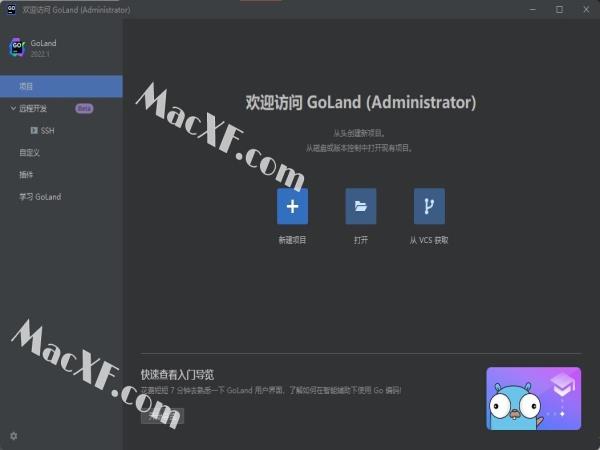 JetBrains GoLand 2022(GO语言编程)v2022.2激活破解版