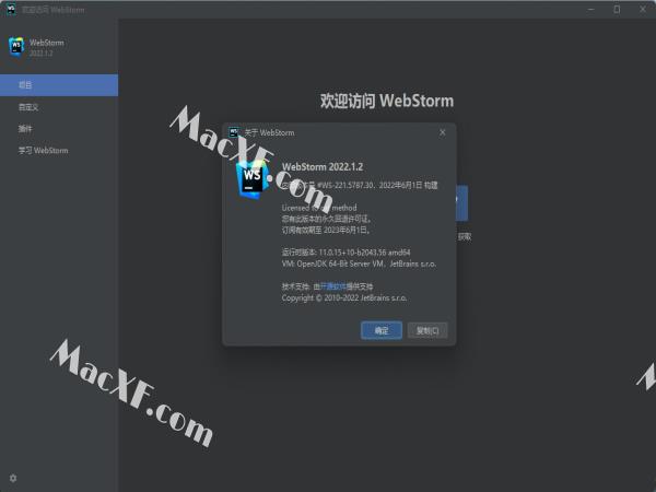 JetBrains WebStorm 2022v2022.1.3 中文破解版