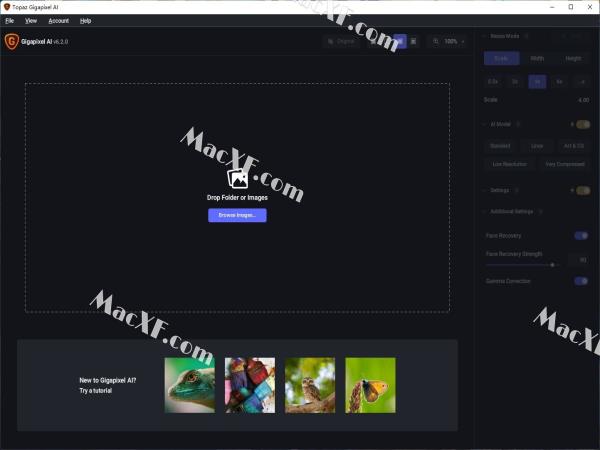 Topaz Gigapixel AI v6.2 免费版