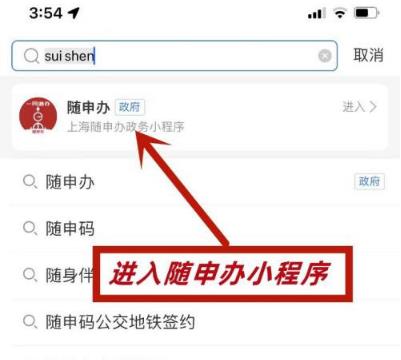 支付宝怎么打开随申办核酸检测码